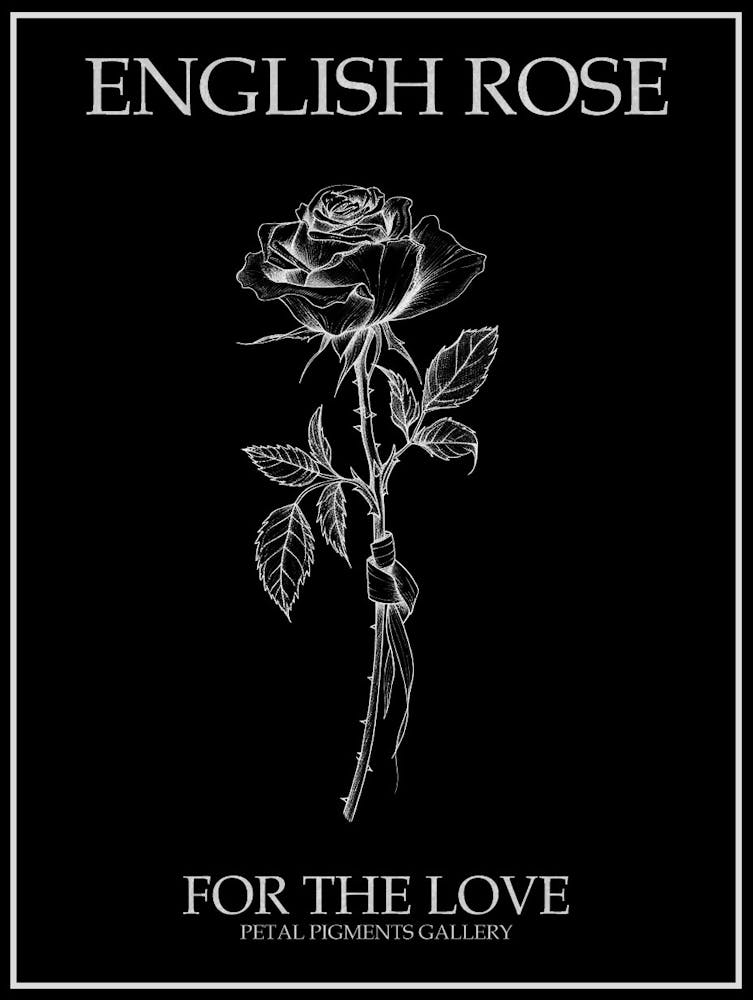 English Rose Black And White Line Drawing 21 Poster Inverted
