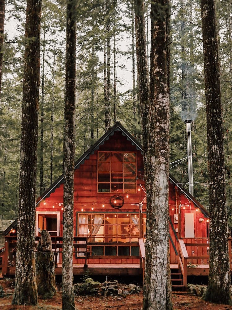 Woodland Cabin