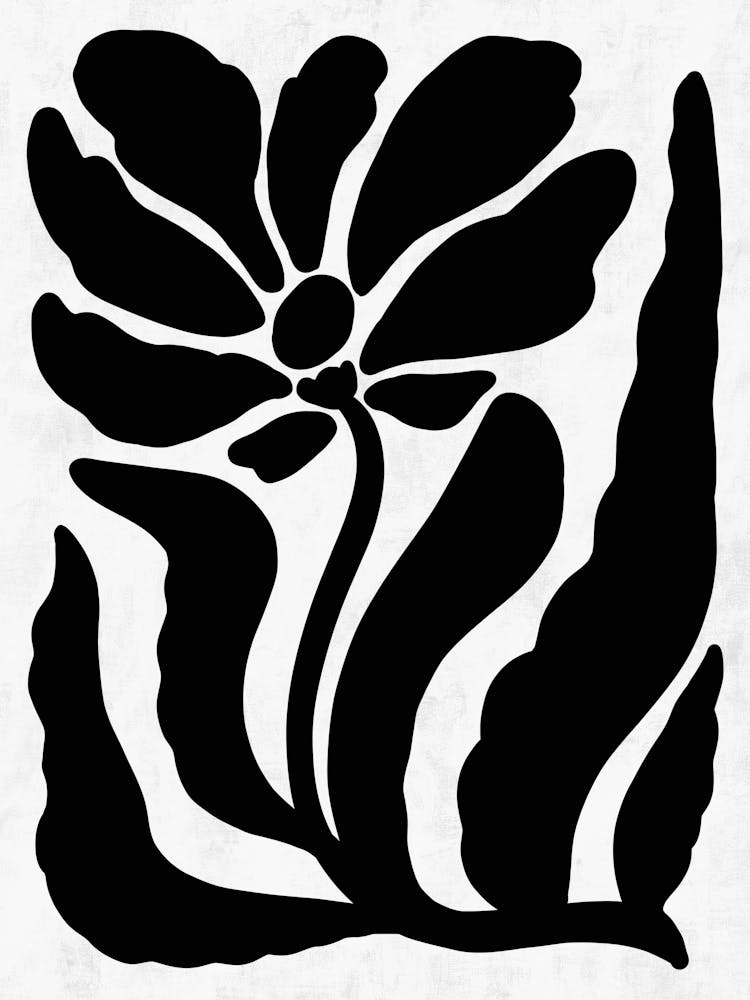 Fleur Dans un Carré