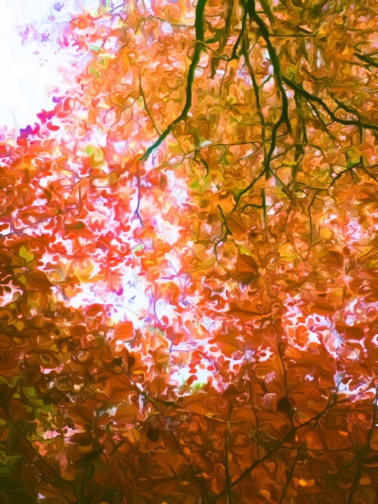 Autumn Leaves