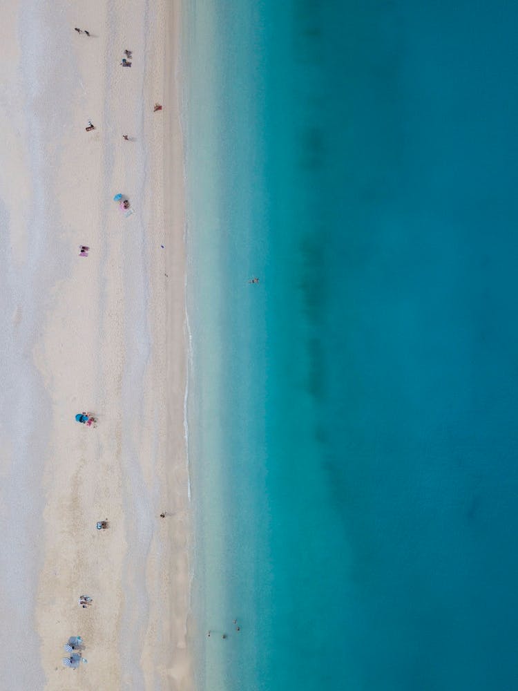 Where The Living Is Easy