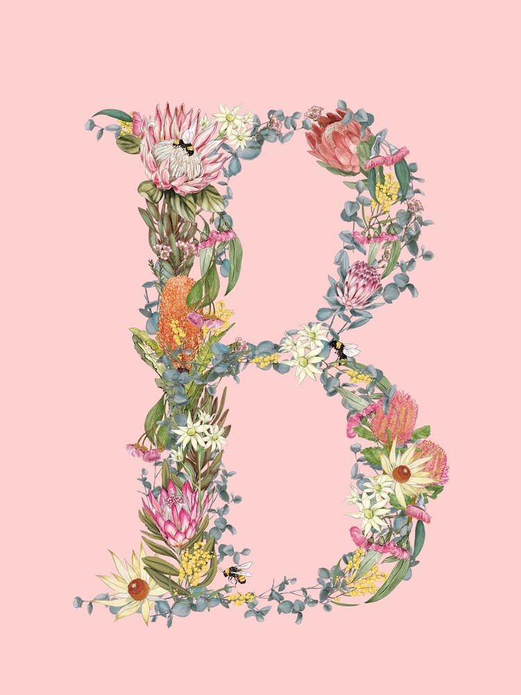 B Pink Alphabet Letter
