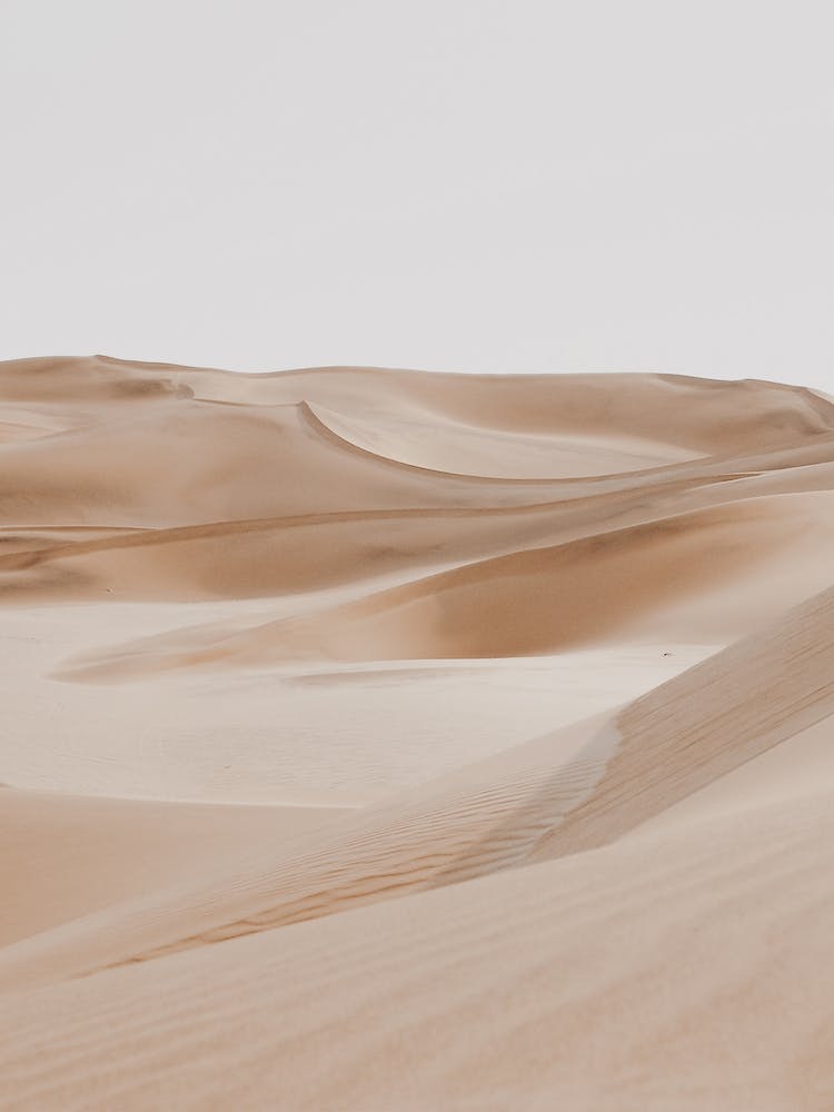 African Desert