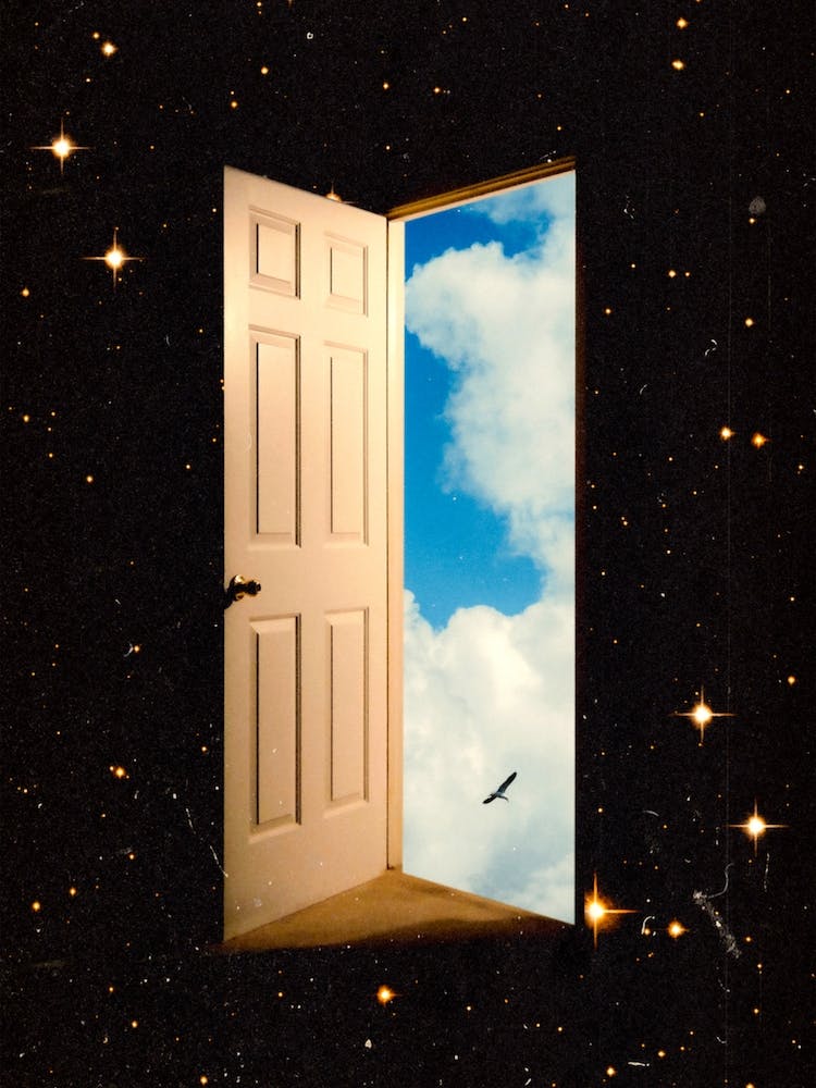 The Portal