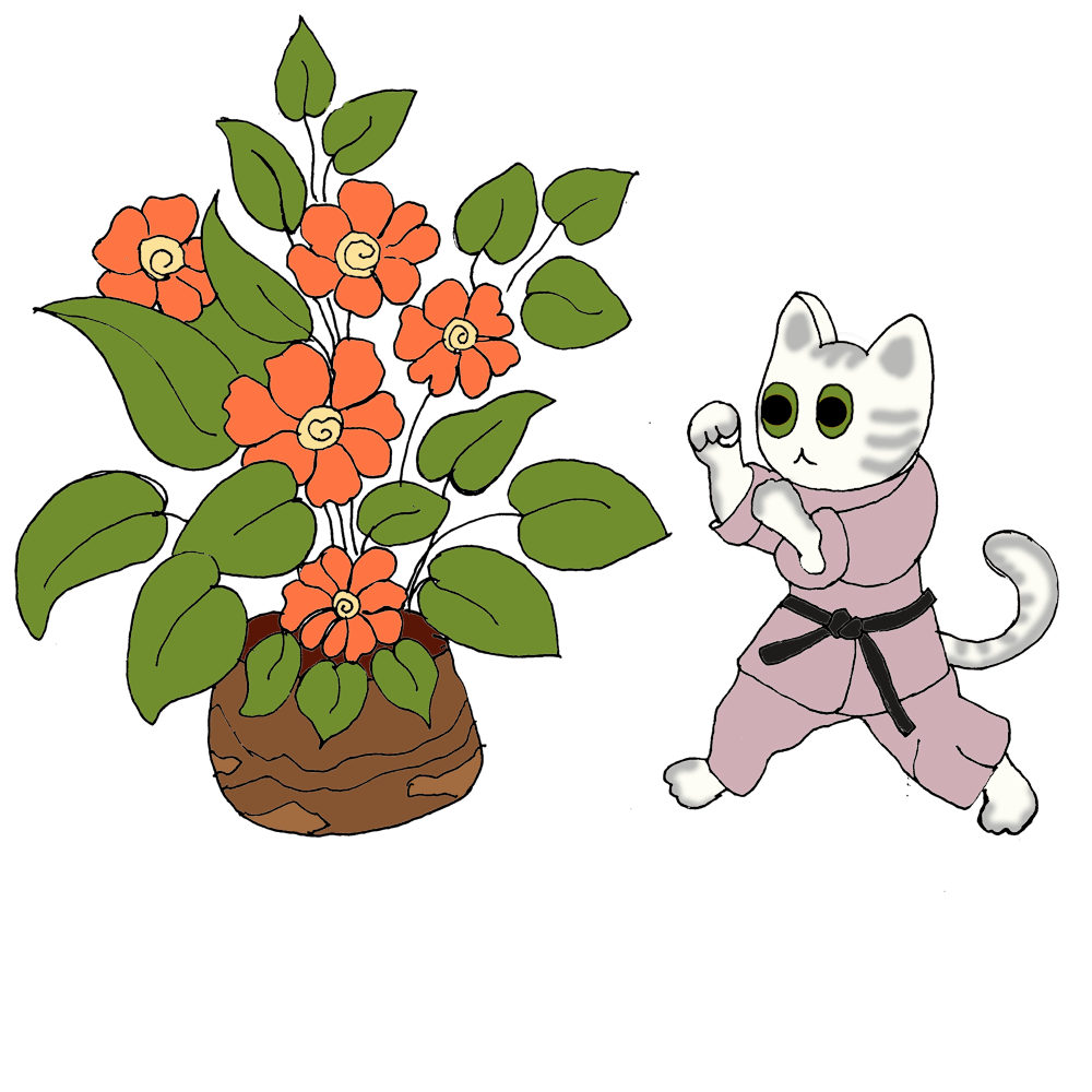 Karate Cat