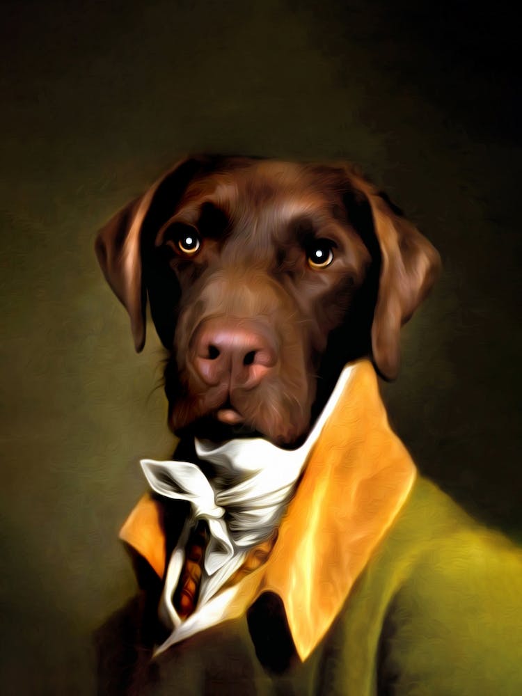 Hungry Teun The Labrador Dog Pet Portraits