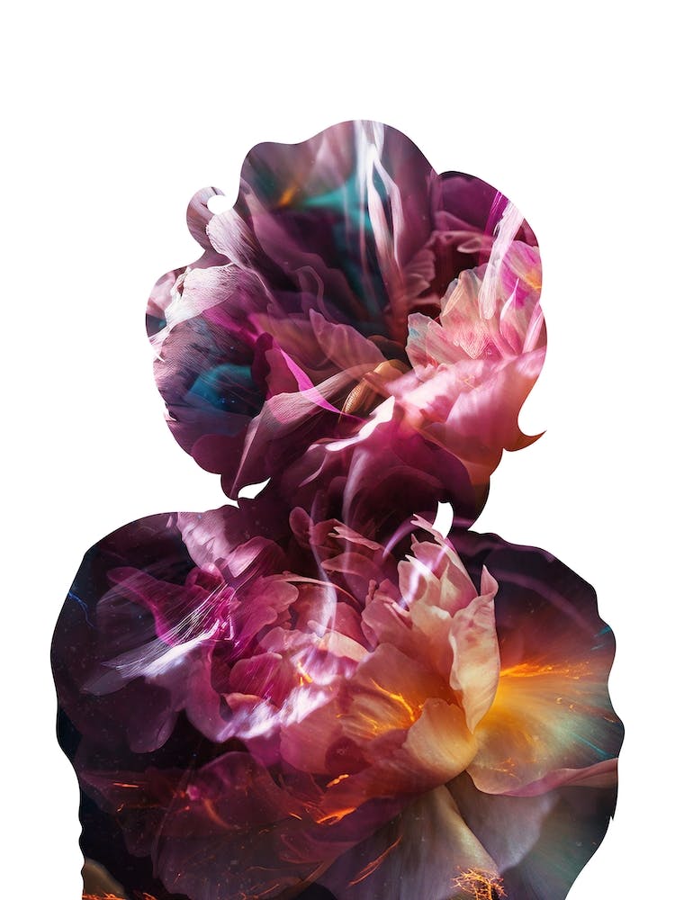 Marilyn Monroe Flower Portrait