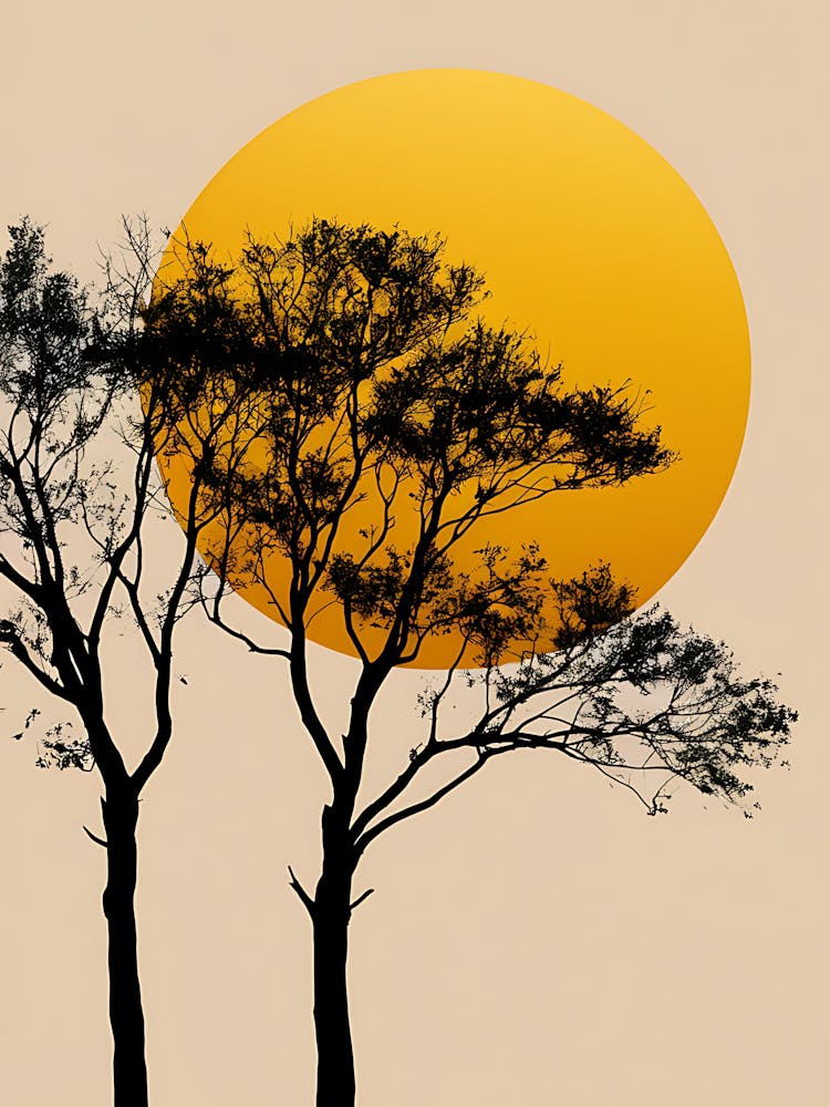 Silhouette Of Trees At Sunset