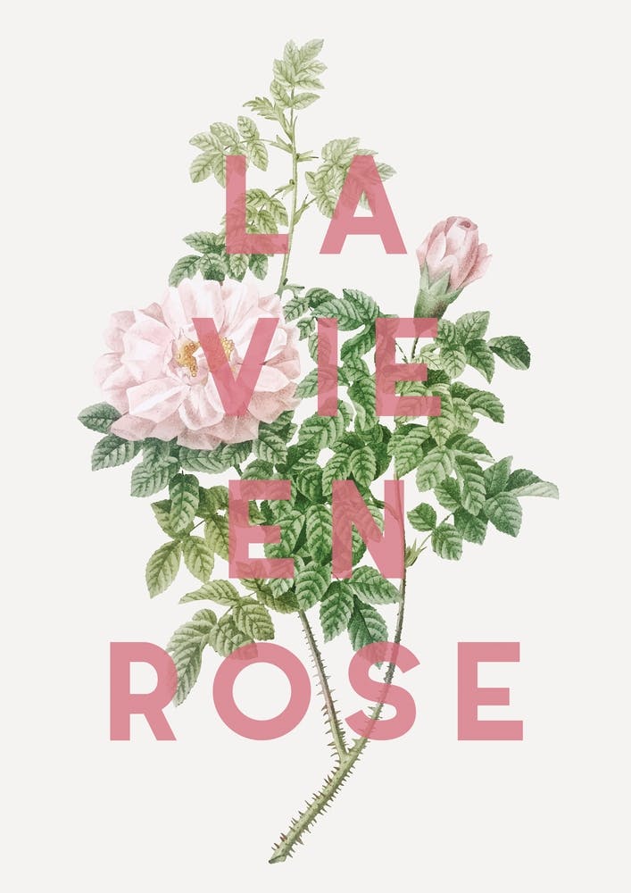 La Vie