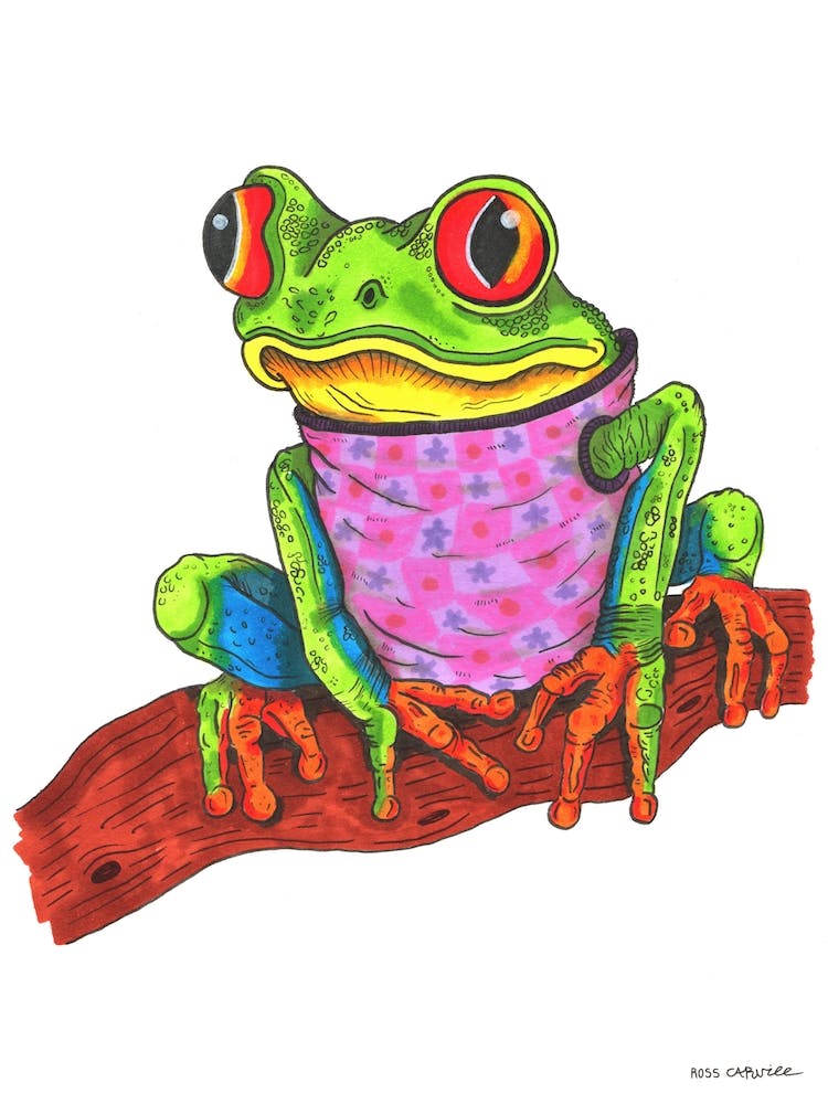 Grenouille En Pull