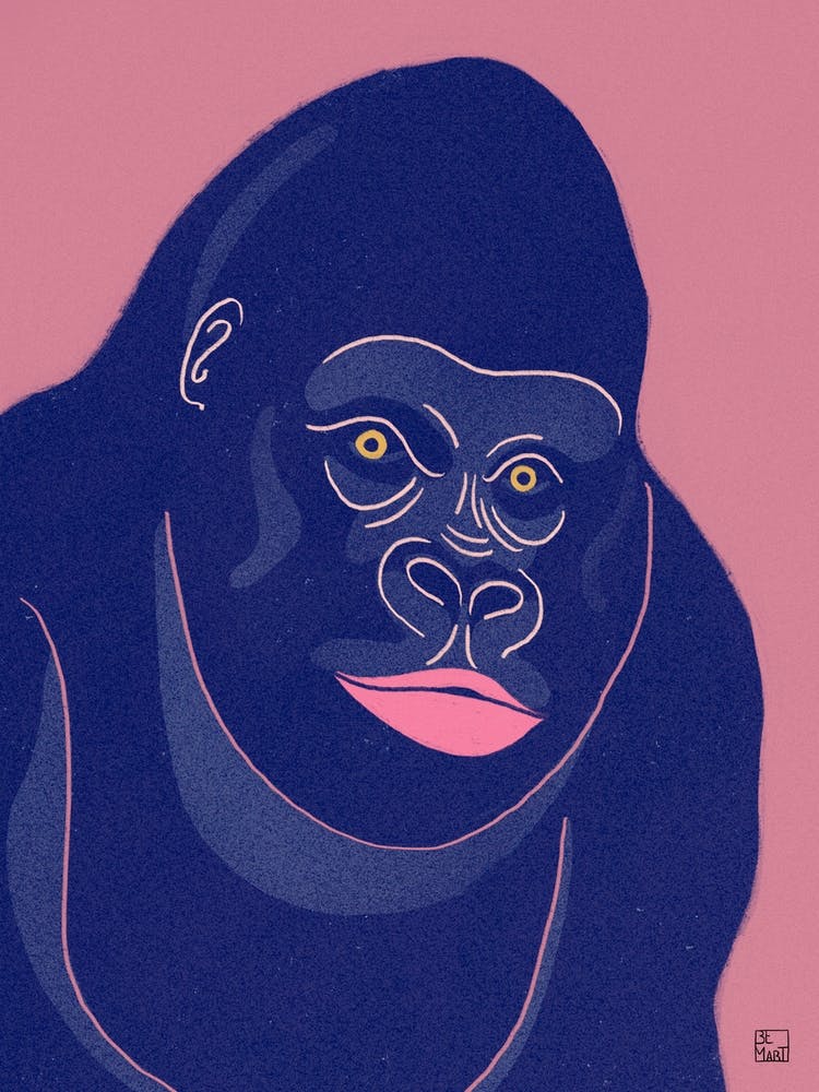 Gorilla With Pink Background