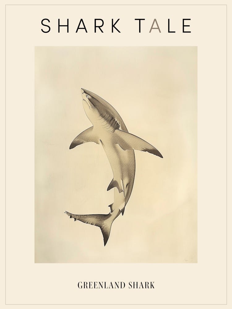 Greenland Shark Vintage Illustration 5 Poster
