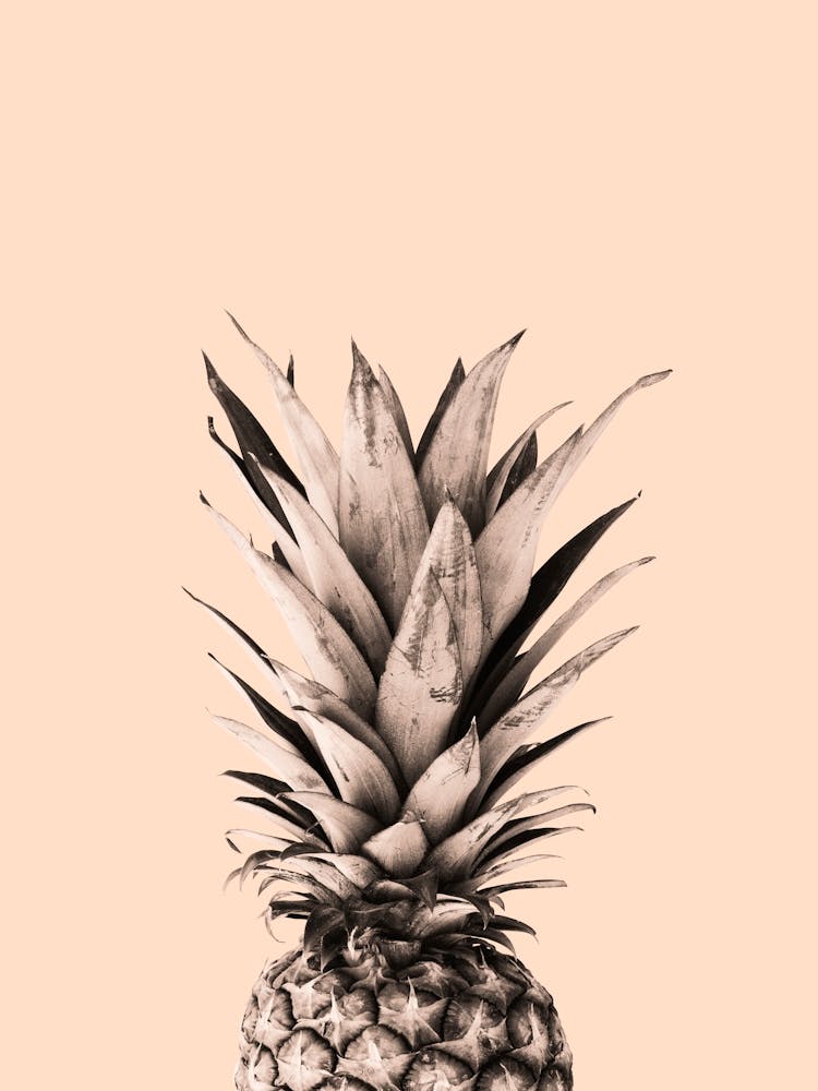 Pineapple collage 1