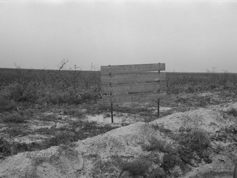 Untitled Photo, Possibly Related To Sign Advertising Land For Farm Purposes, Pine Area, New Jersey By Russell Lee