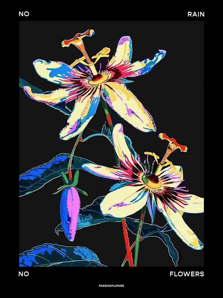 No Rain No Flowers Poster Passionflower 1