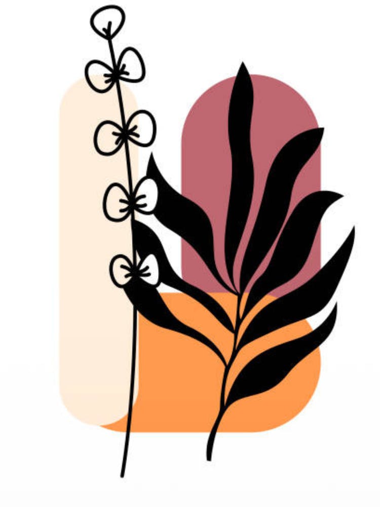 Flower And Leaves
