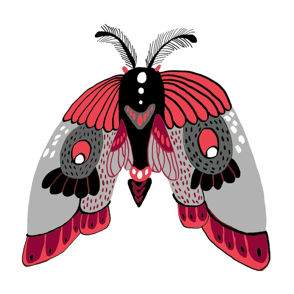 Schmetterling Schwarz