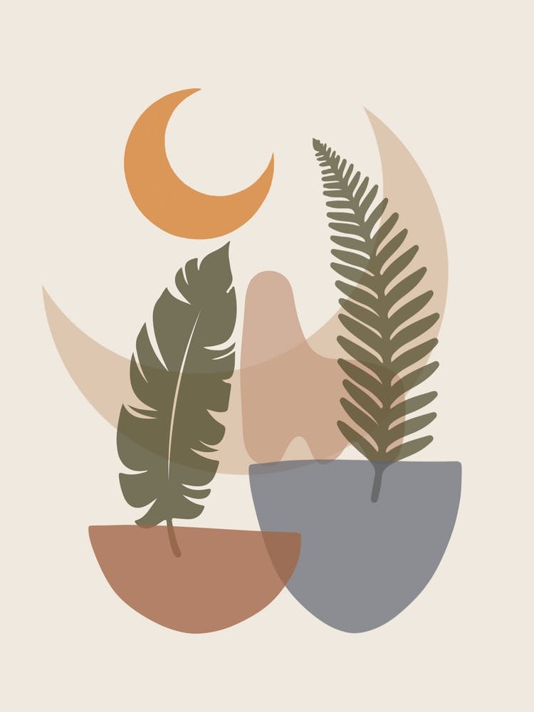 Moon And Ferns