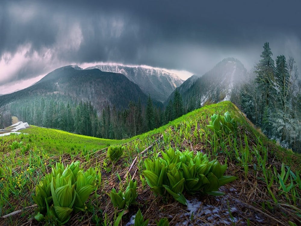 Landscape With Stormy Sky