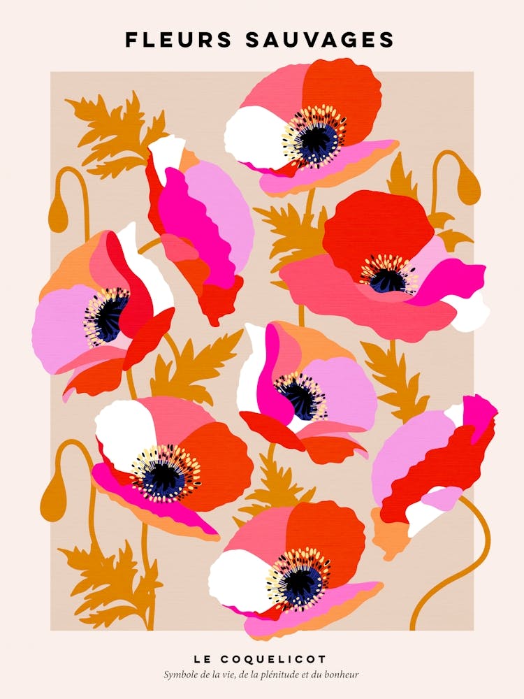 Wild Flowers Poppies in French