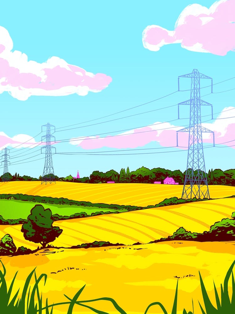 Rapeseed Fields