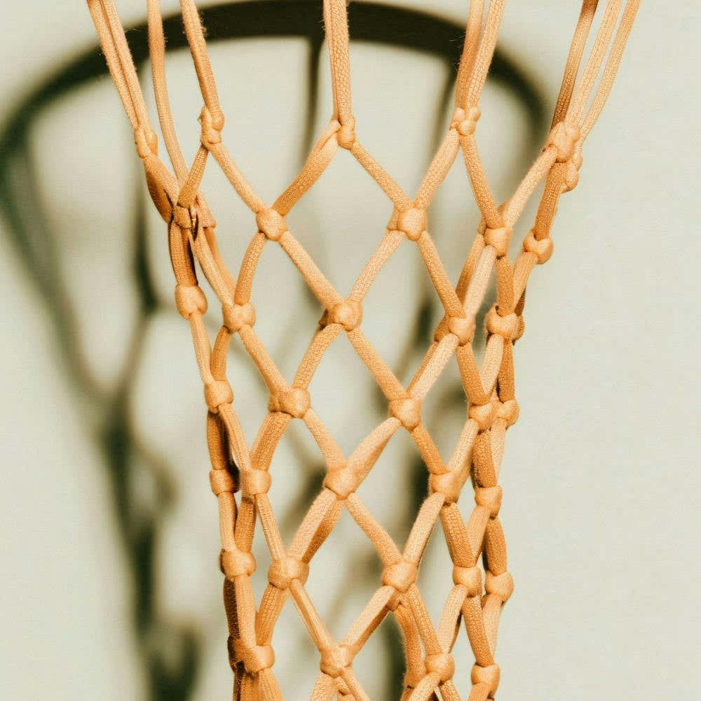 Basketball Net