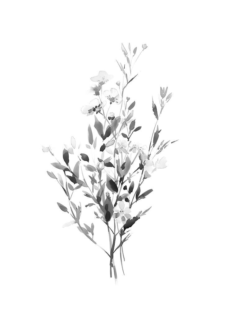 Black And White Flowers 71