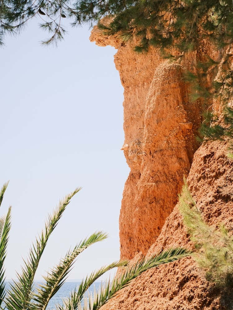 Sea, Rock & Palms // Ibiza Nature & Travel Photography