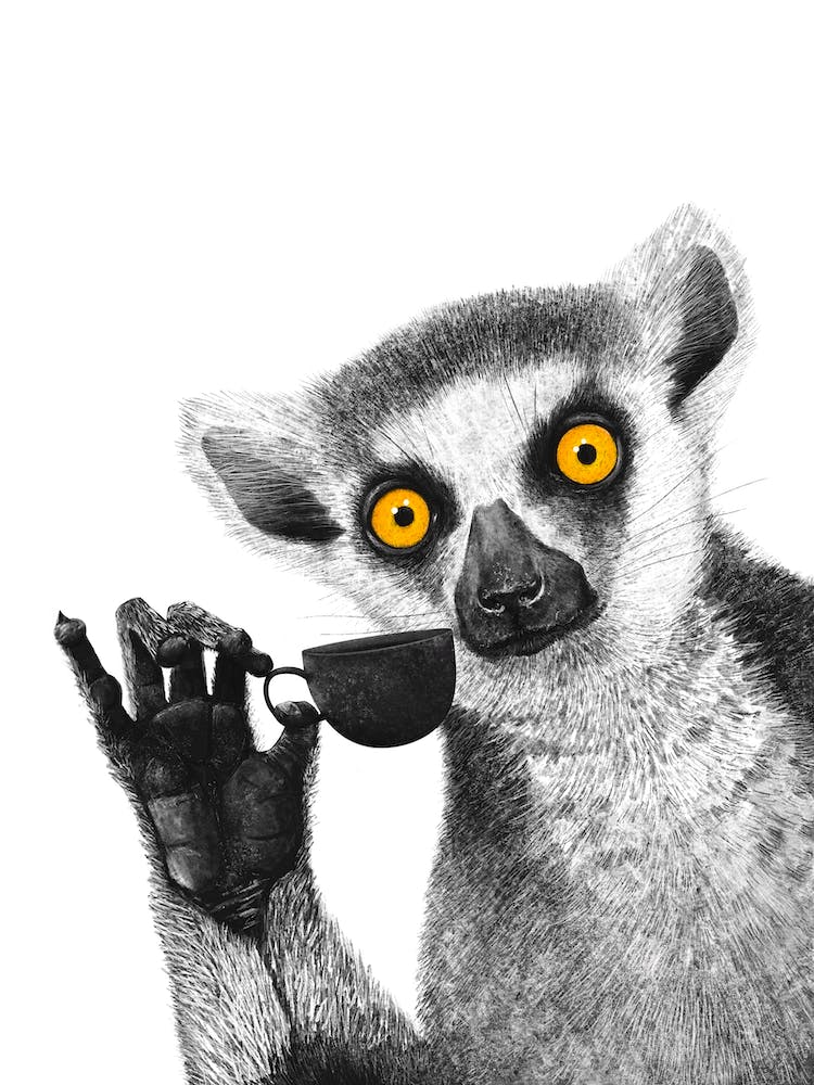 Lemur With Coffee
