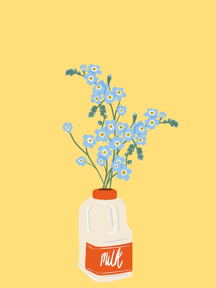 Forget Me Nots In Milk