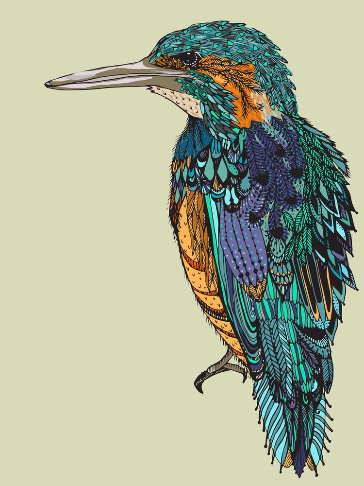 Kingfisher