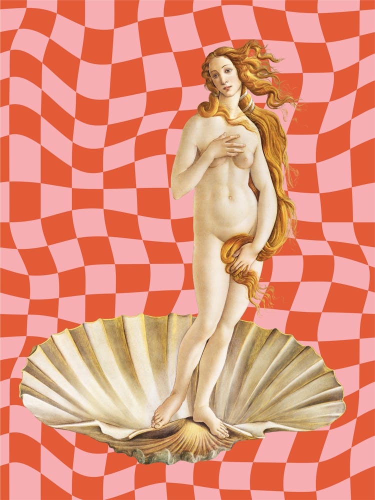 Checkered Birth Of Venus