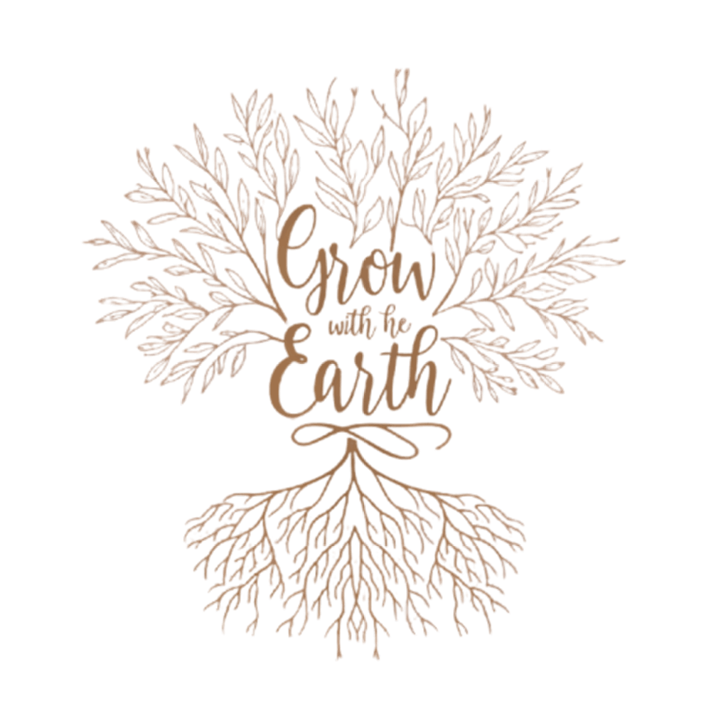 5983327577693078922 Removebg Preview