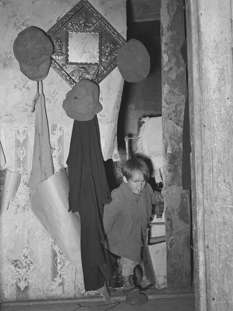 Son Of Fsa (Farm Security Administration) Borrower, Orange County, Vermont By Russell Lee