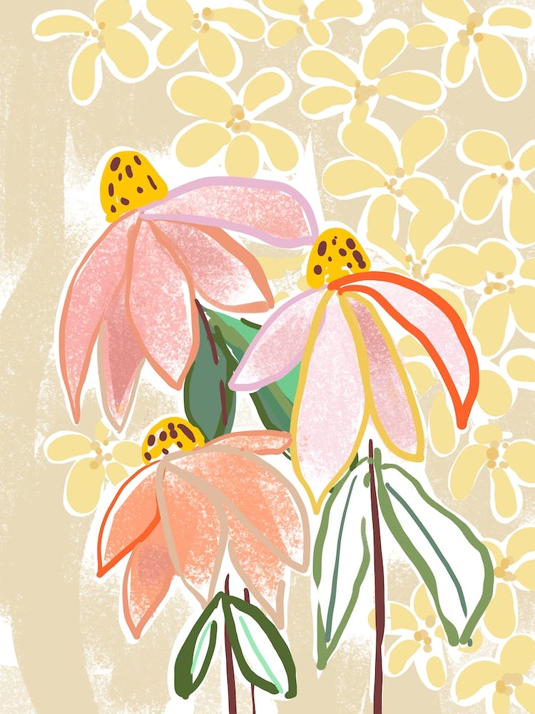 coneflowers