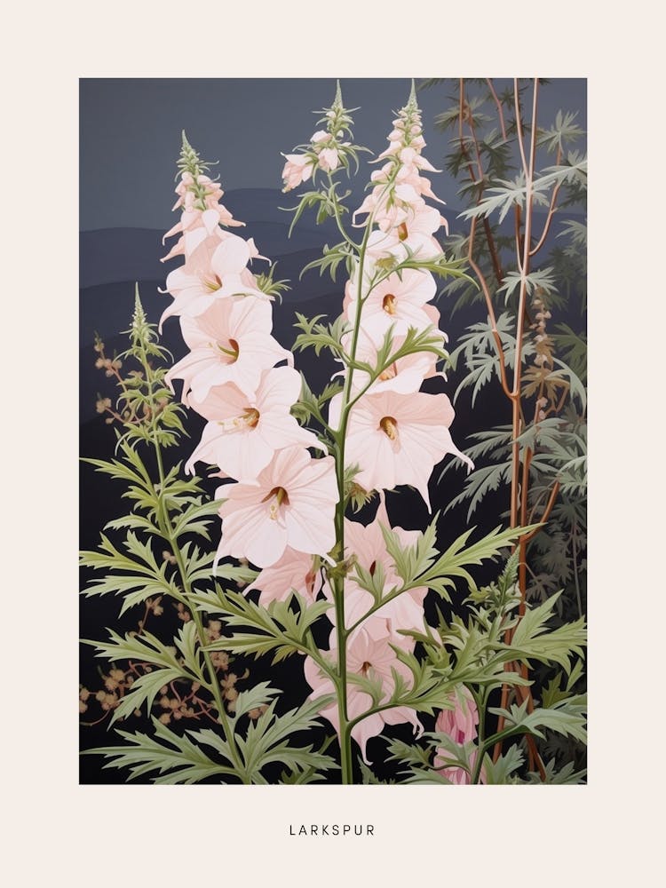 Flower Illustration Larkspur 3 Poster