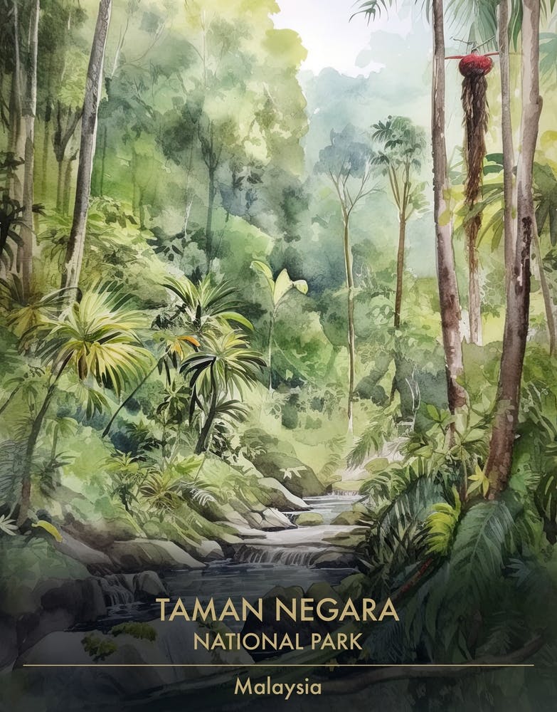 Taman Negara National Park Malaysia Watercolour 3