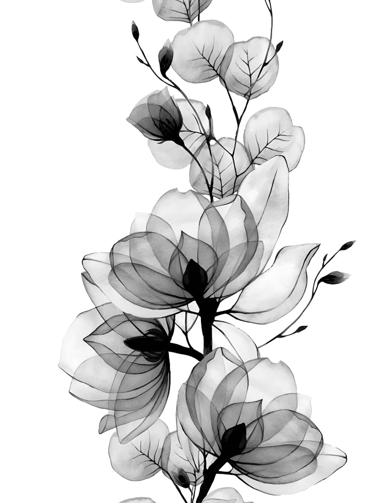 Black And White Floral Painting