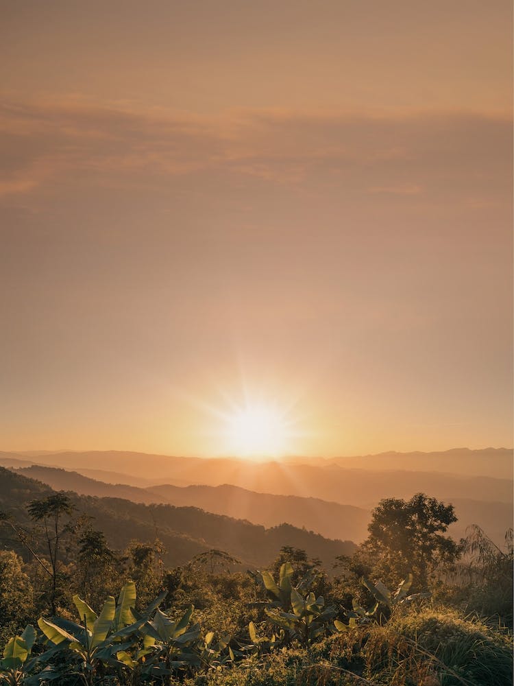 Mania Landscapes Raw 24 Nagaland (India)