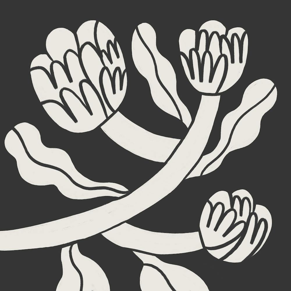 Carré Fleuri