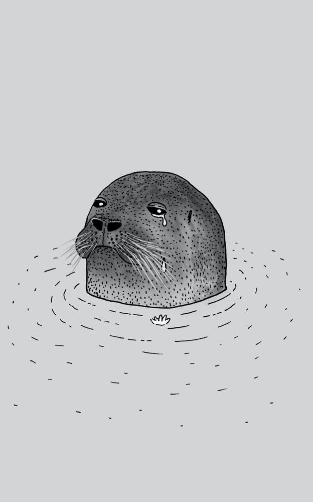 Sad Seal