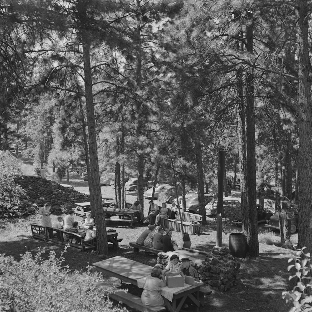 Klamath Falls, Oregon, Picnickers By Russell Lee