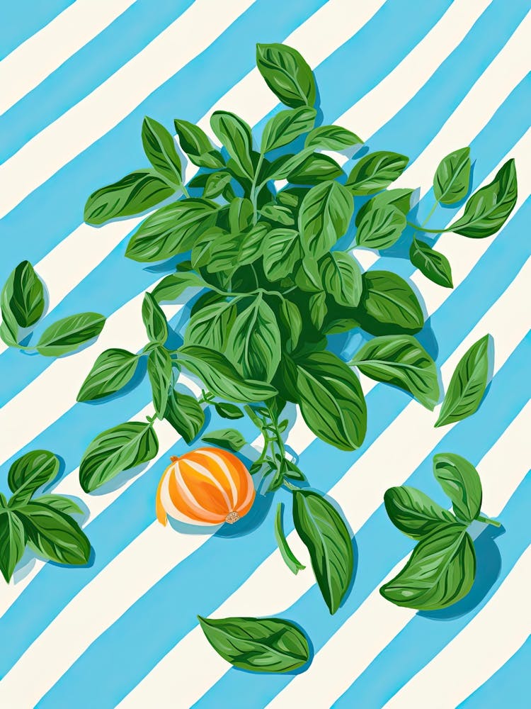 Basil Summer Illustration 6