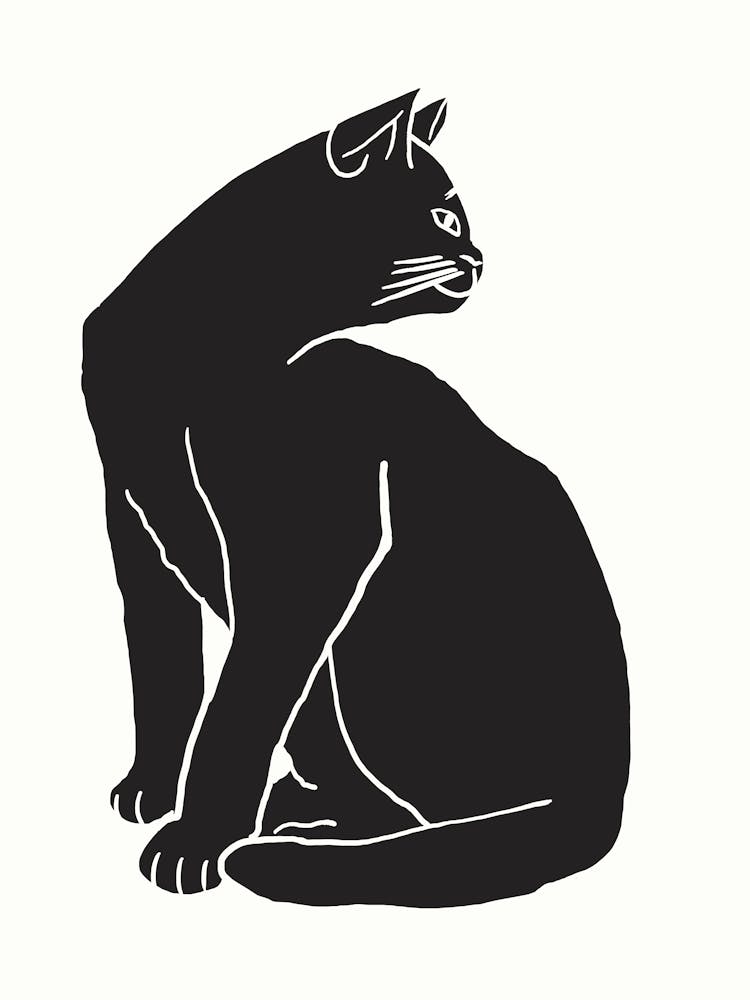Black Cat On White