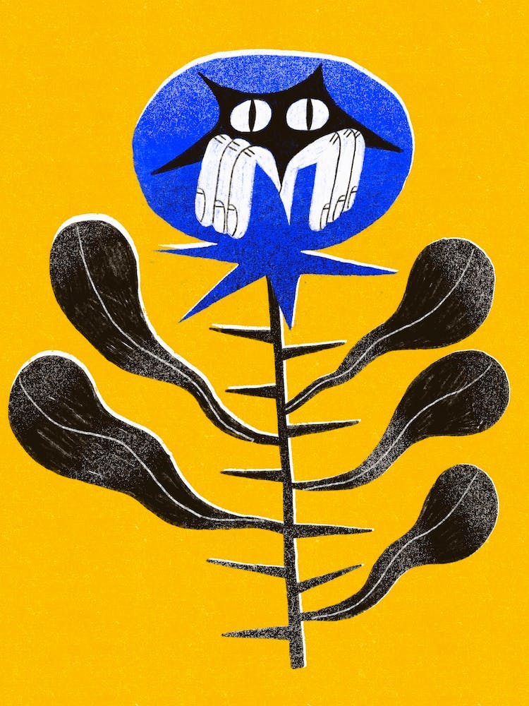 La Cachette