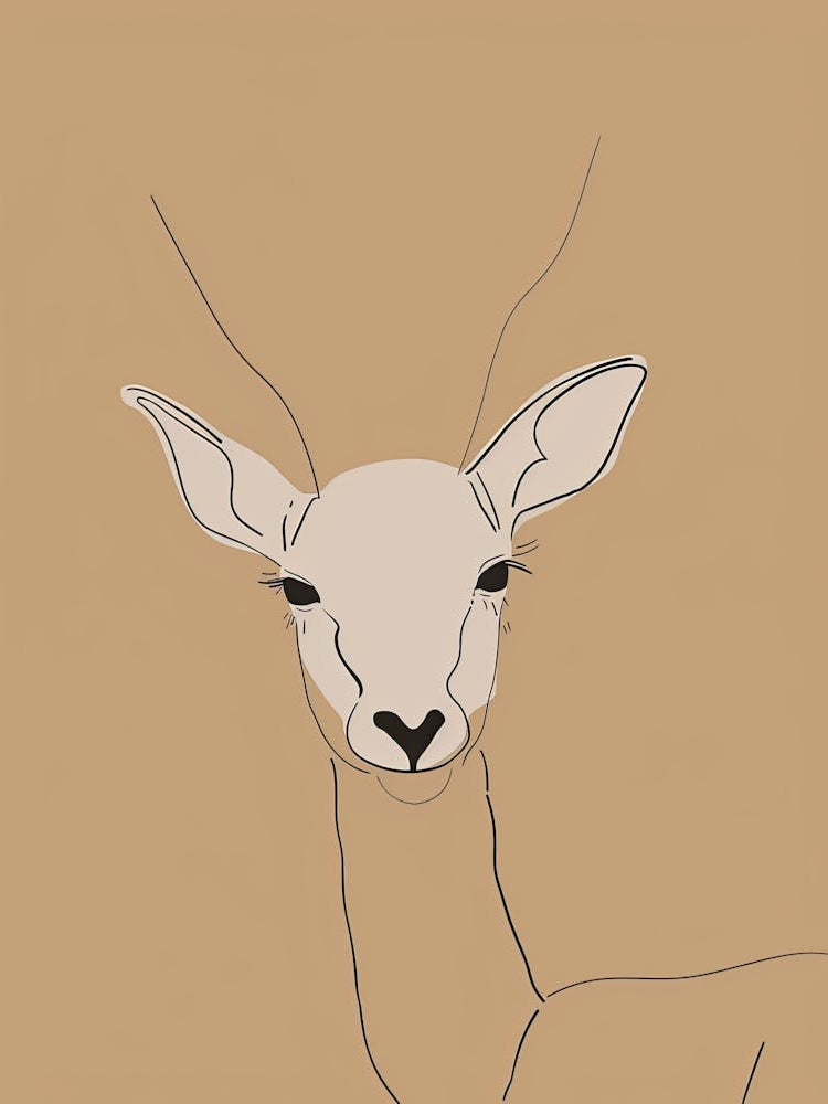 Antelope - Boho, Line Art 8