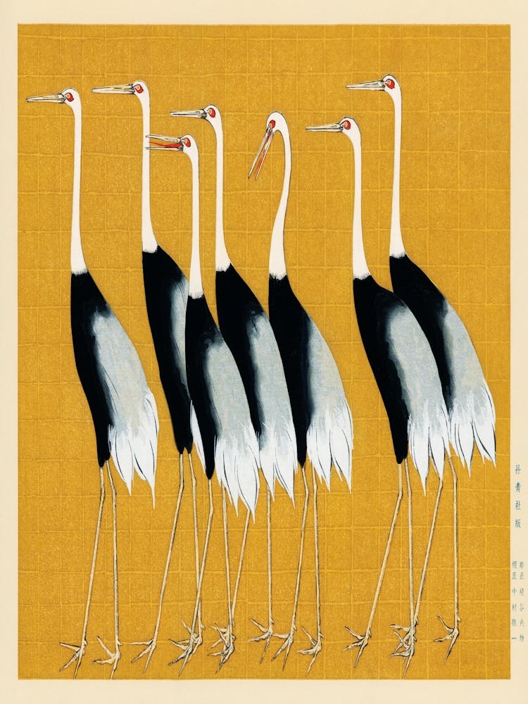 Cranes