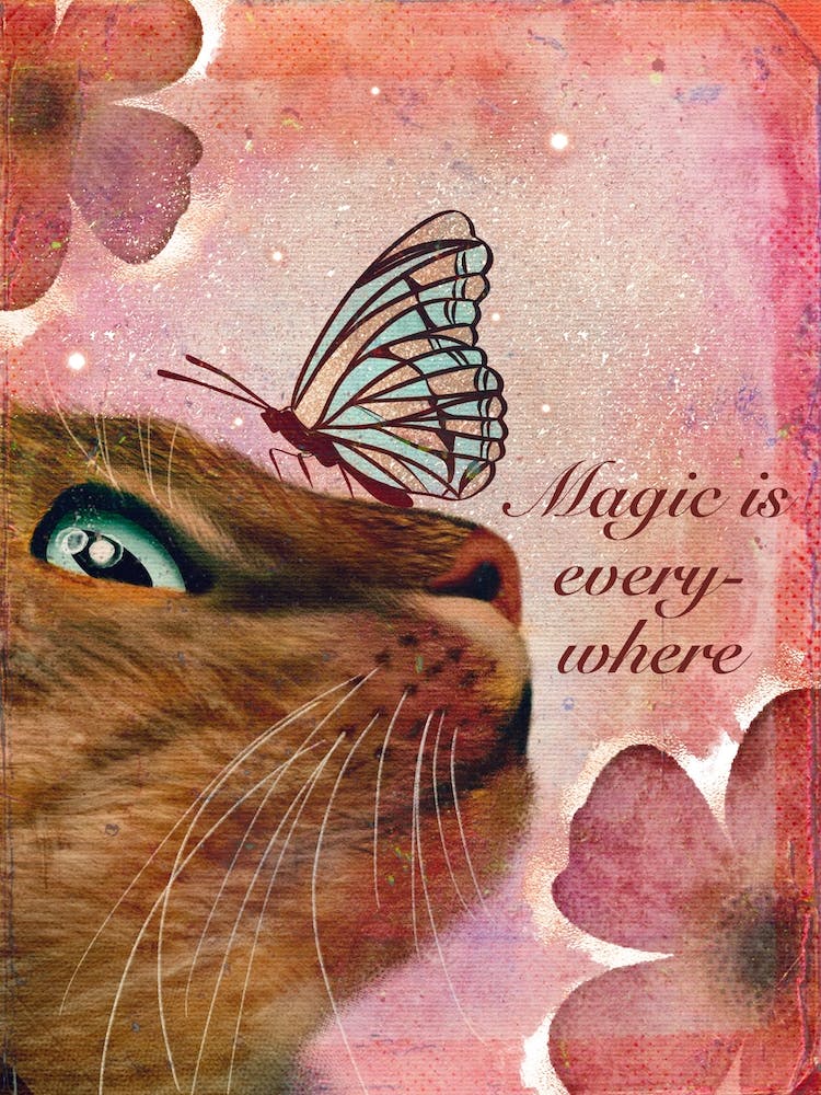 Magic Is Everywhere