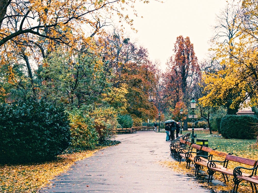 Autumn Park