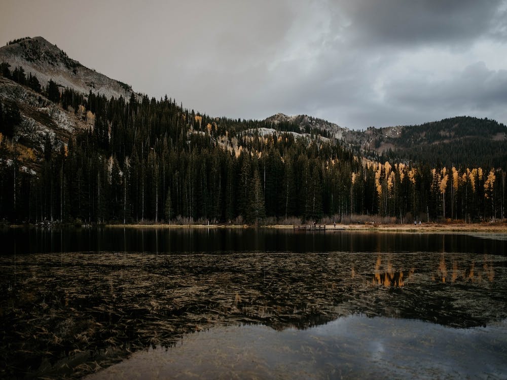 Ontopofthemountains